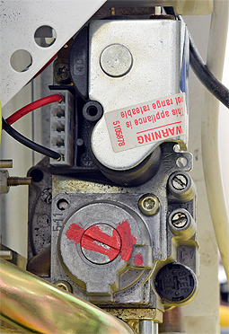 bx pt suprima 100l 173154 gv.jpg